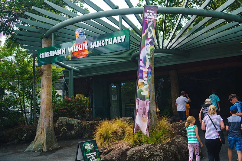 currumbin wildlife sanctuary